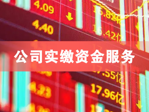 伊春公司实缴资金服务